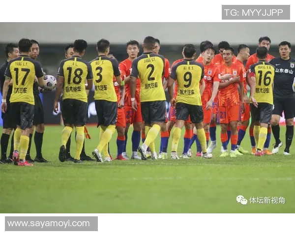 杭州全运会羽毛球队实力分析与表现点评