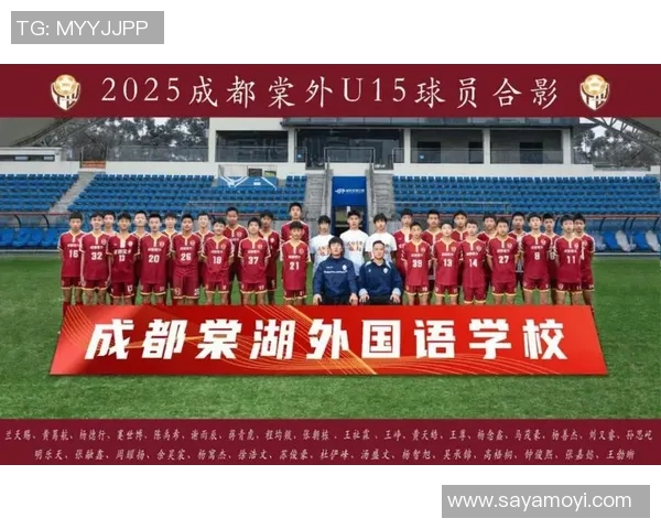 成都足球队的华丽转身精英赛背后的转型与挑战解析