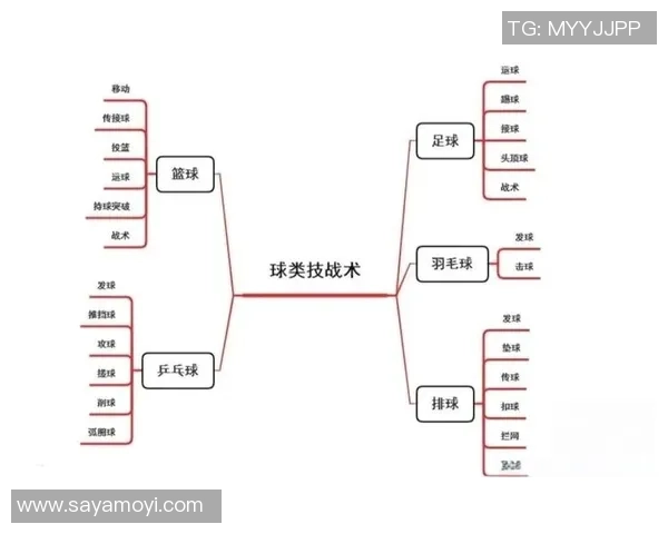 杭州篮球队反击战术解析与球队未来发展展望