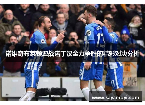 诺维奇布莱顿迎战诺丁汉全力争胜的精彩对决分析
